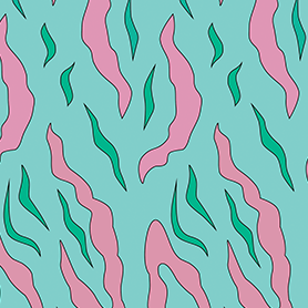 TURQUOISE PARROTFISH