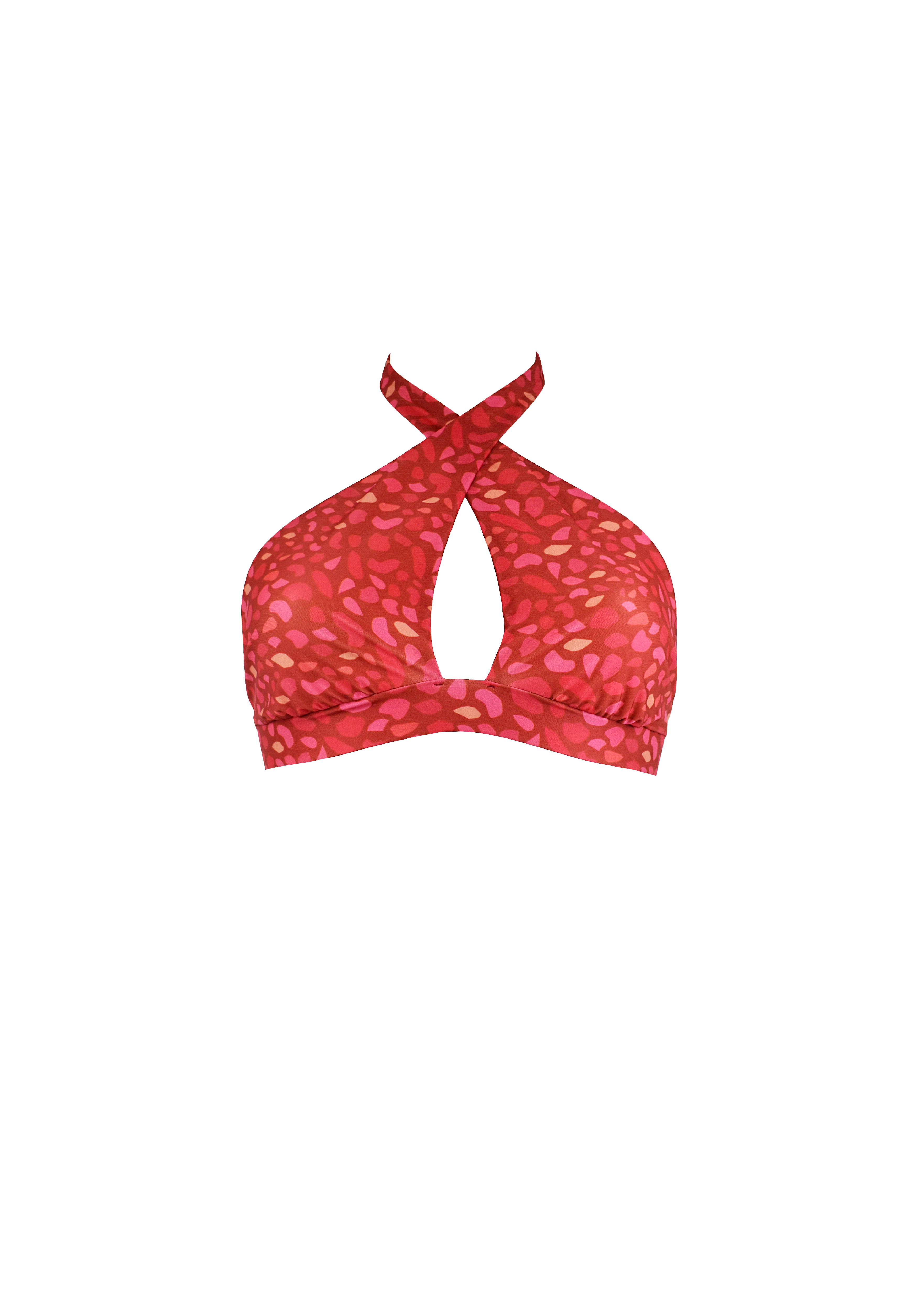 Lilian Bikini - Ruby Hummingbird - Top