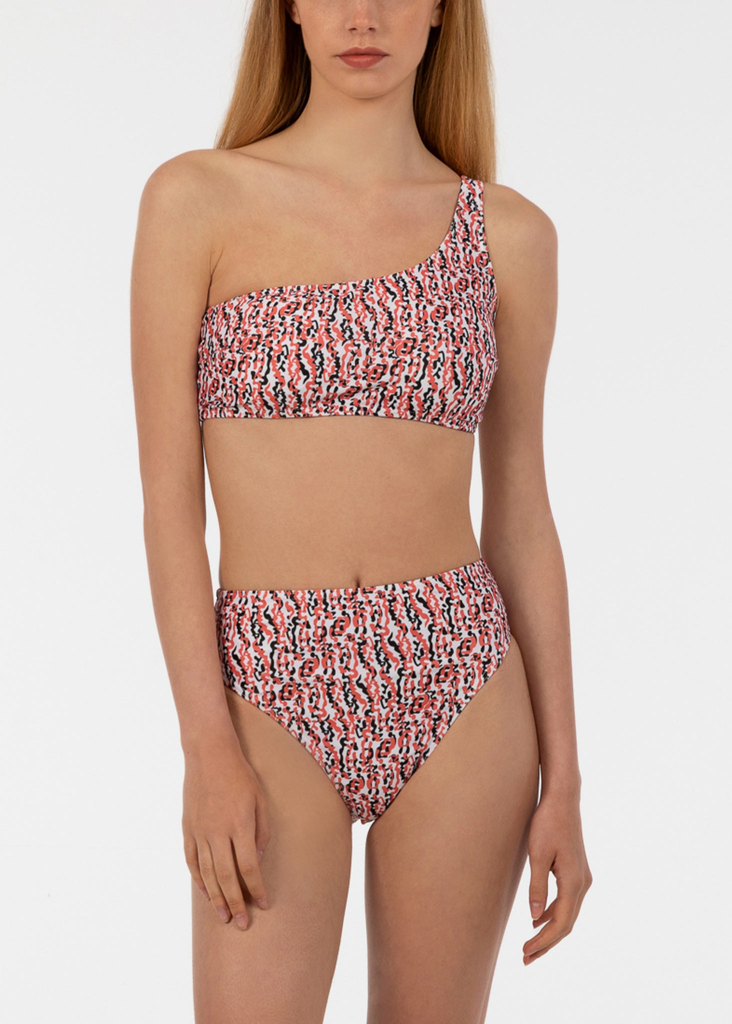 Eva Bikini - Zebra Anemone Group