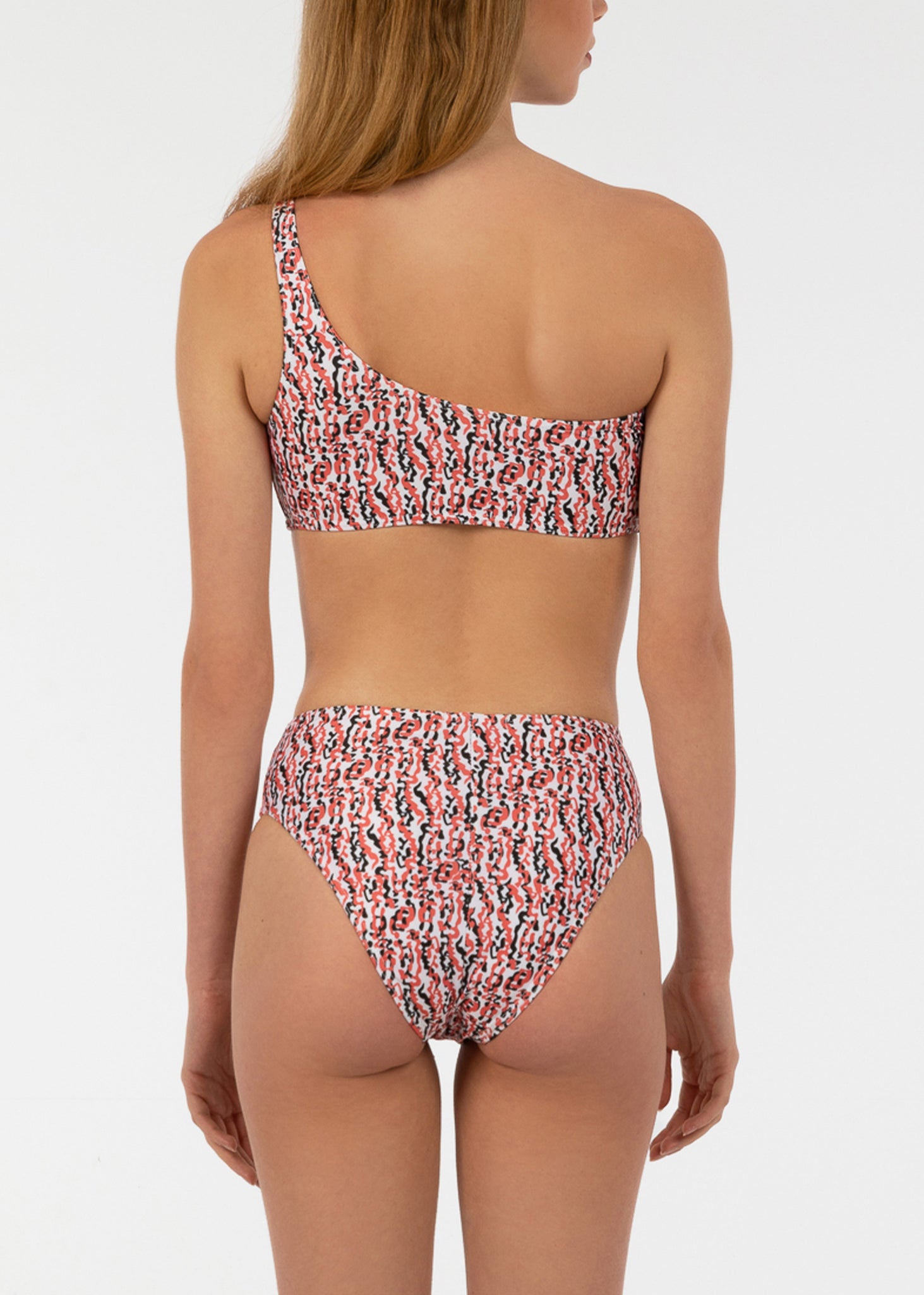 Eva Bikini - Zebraanemonengruppe