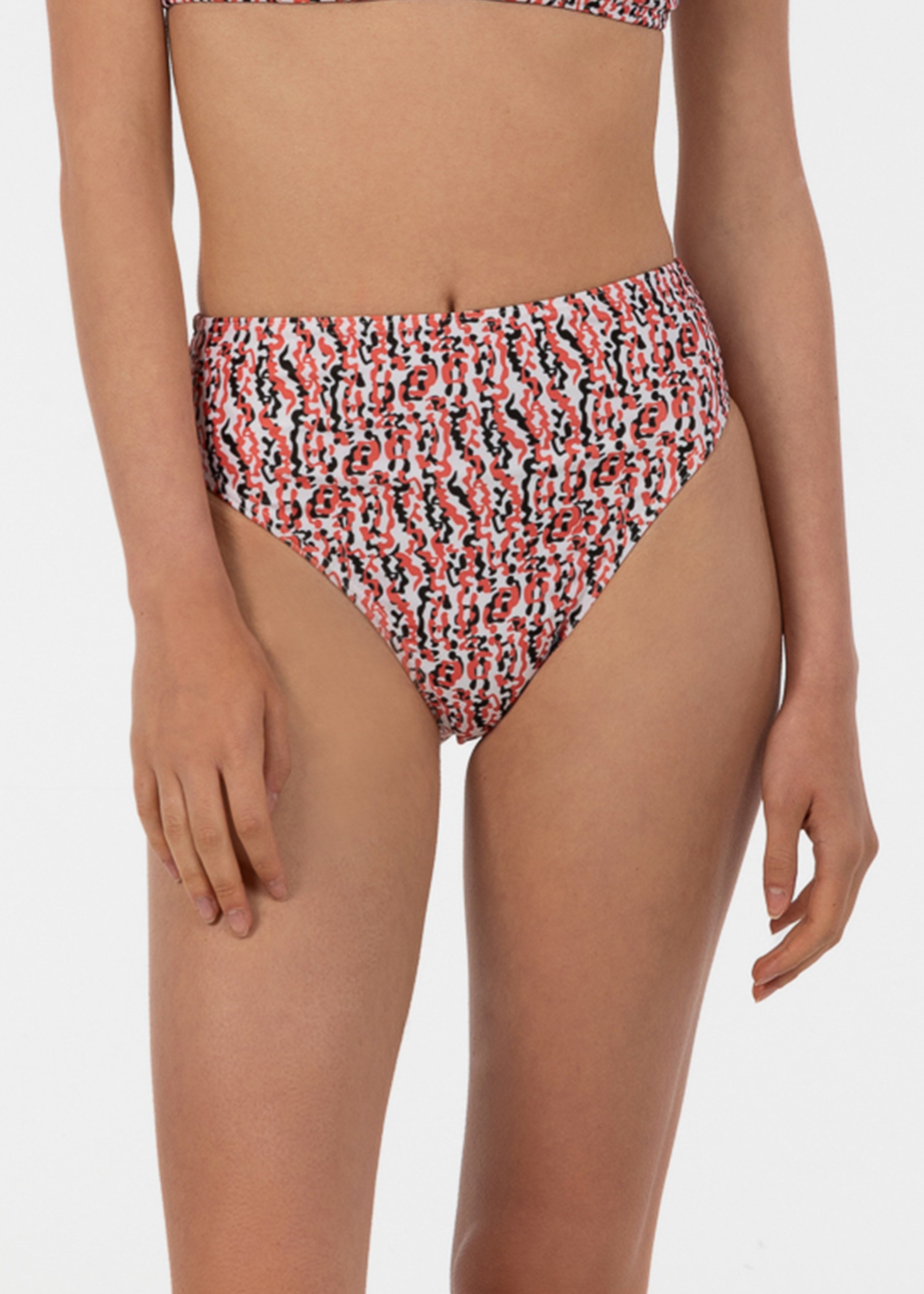 Eva Bikini Bot - Zebraanemonengruppe